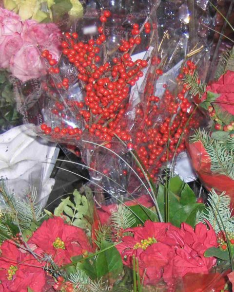 Closeup of holly berries in Victorian Christmas flower arrangement surrounded by red poinsettias, a pink rose and a white rose