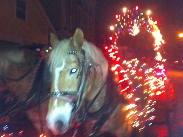 horse in tractor parade