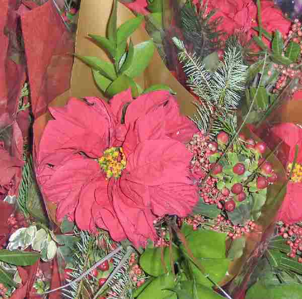 Closeup of Victorian flower arrangement with red poinsettia front and center