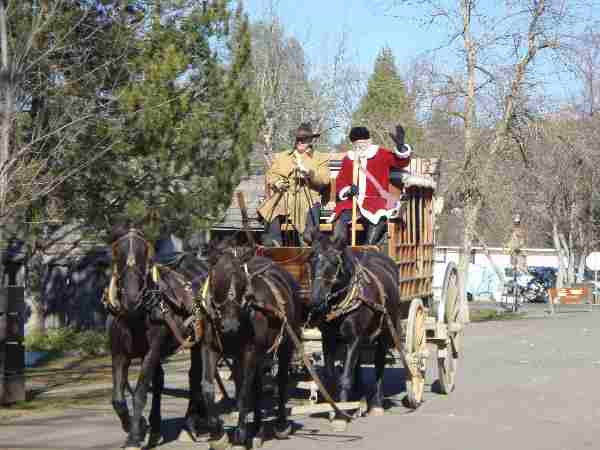 Santa waves from a wagon drawn by a mule team.