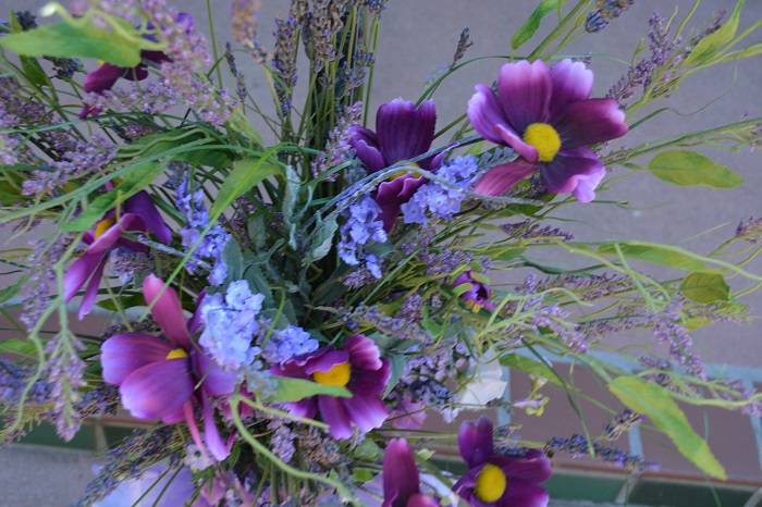 lavender flowers closeup2