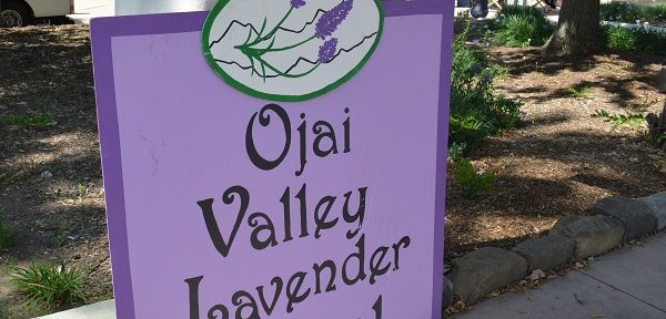 Lavender sign with sprigs of lavender adverisies "Ojai Valley Lavender Festival"