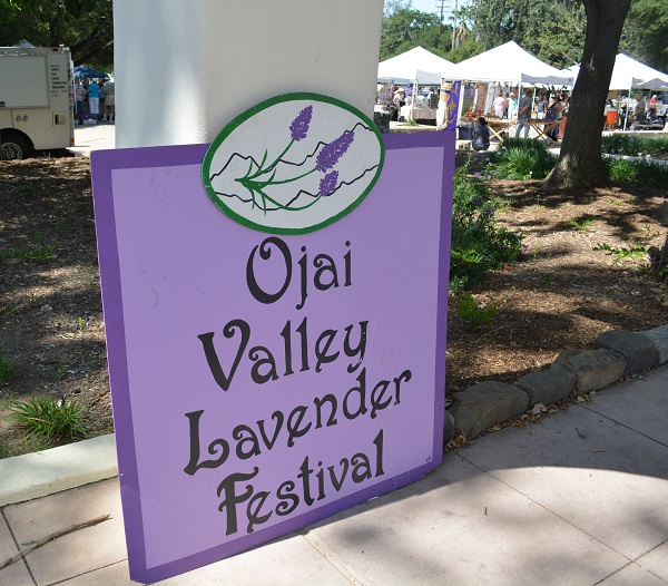 Lavender sign with sprigs of lavender adverisies "Ojai Valley Lavender Festival"