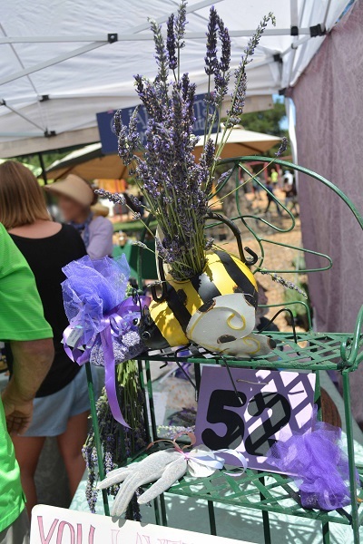 Woman looks at bunches of lavender for sale in a booth at Libbey Park during Ojai Valley Lavender Festival