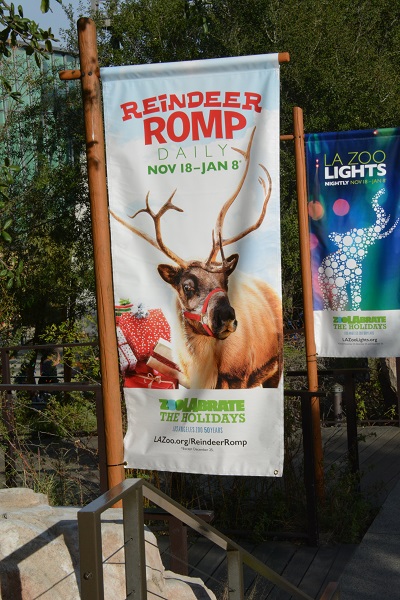 reindeer-romp12