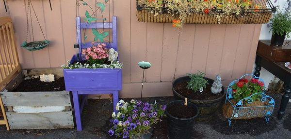 purple planter and flowers