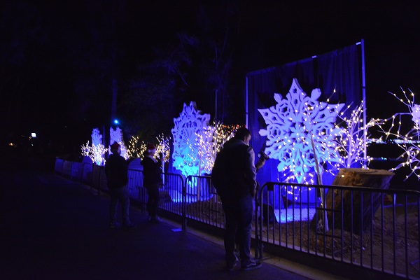White snowflake shapes illuminated with blue light
