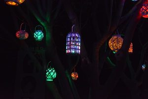 Lanterns in different shapes and colors hang from a tree