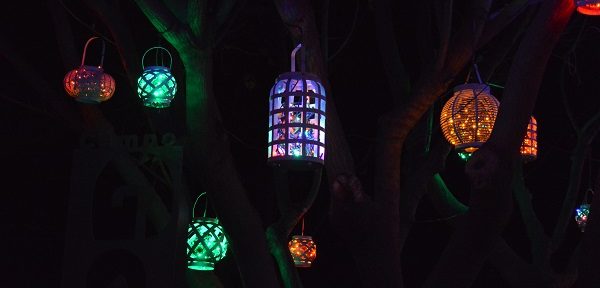 Lanterns in different shapes and colors hang from a tree