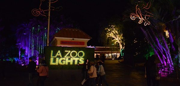 People walk past "LA oo Lights" sign with lighted trees in background