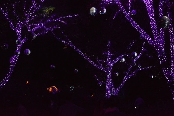 trees with pink lights and silver disco balls hanging from their branches