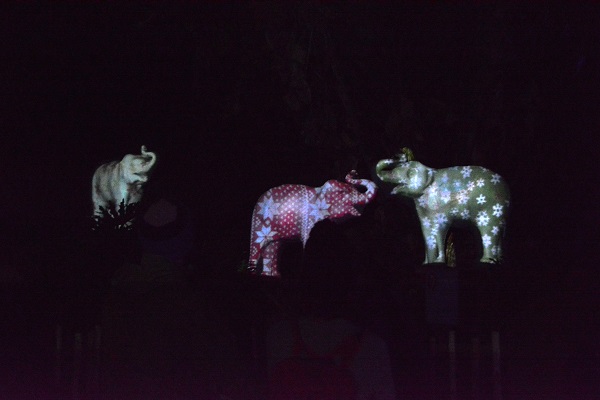 Cement elephants on which light patterns ofsnowflakes and poinsettias are being projected at LA Zoo Lights