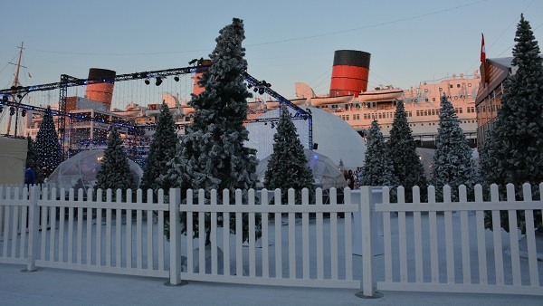 forest of Christmas trees in front of the Queen Mary