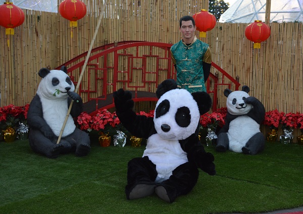 Panda waves under red Chinese lanterns with man in green mandarin shirt in the background