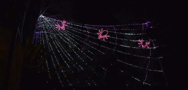 spiders outined in pink light on a "web" of white lights