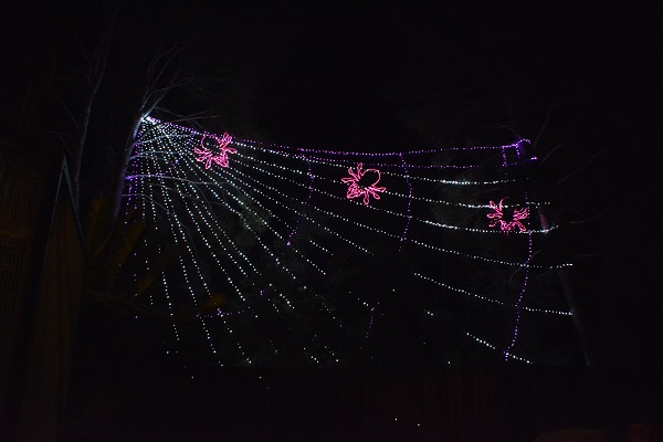 spiders outined in pink light on a "web" of white lights