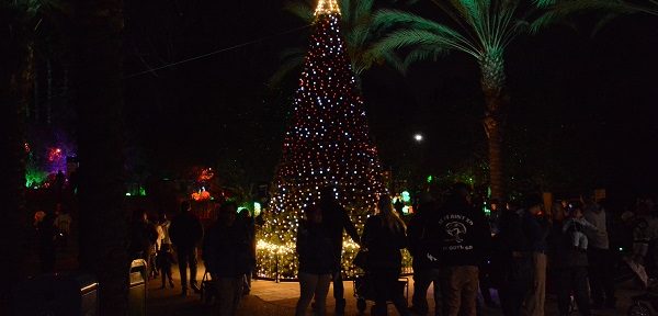 People around Christmas tree with multicolored lights at LA Zoo entrance