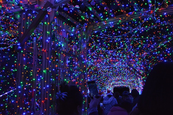 people walk through the "Twinkle Tunnel", with thousands of colored lights