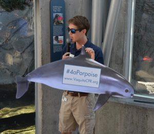 Cameron with vaquita sign and link