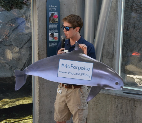 Cameron with vaquita sign and link