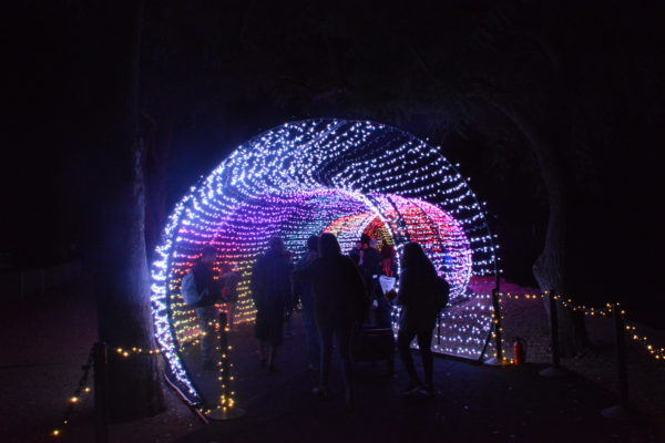 Visitors at L.A. Zoo Lights enter the "Twinkle Tunnel"