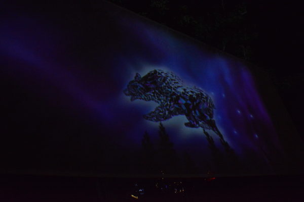 Constellation on screen forms the shape of a bear
