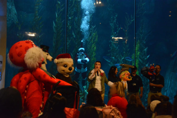 "Sata Diver" in the background tank as Aquarium staffer "Sarah Seastar" speaks on mic, surrounded by costumed characters: octopus, polar bear and sea otter on Santa hat