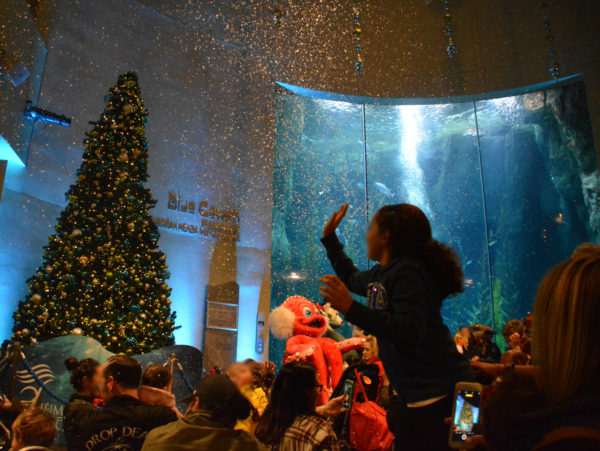 Young girl reaches up to touch falling "snow" near lighted Christmas tree in the Aquarium's Great Hall
