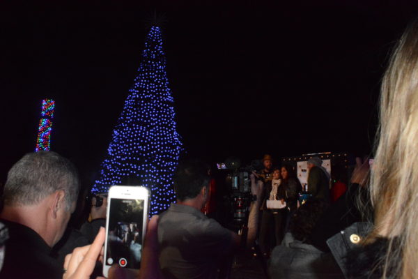 Visitors take photos on their cell phones just prior to lighting of the tree at the entrance of L.A. Zoo Lights