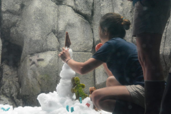 Aquarium staffer builds "snowman" of ice in otter tank and arranges Christmas tree-shaped frozen treats