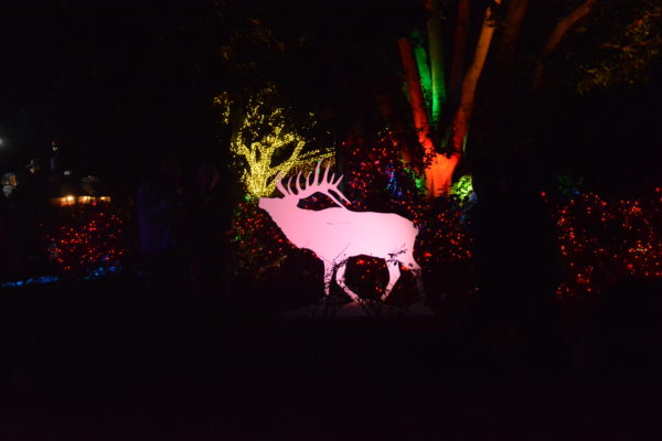 plywood reindeer silhouette with red lights and red-and-green lights in background at L.A. Zoo Lights