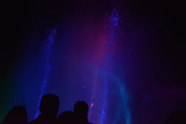 audience watches "Splashes of Light" at L.A. Zoo Lights