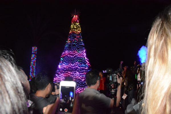 Tall tree lights up at entrance to L.A. Zoo Lights