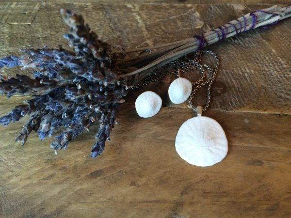 White seashell jewelry ensemble dangles from a seaside plant stalk