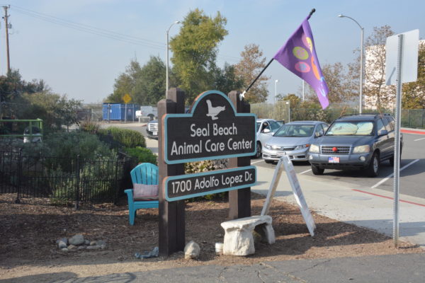 Seal Beach Animal Care Center wooden sign stands in parking lot with purple flag with a pawprint on it