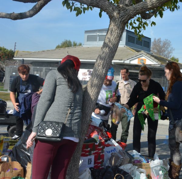 Volunteers pick up pet treats and toys from a pile under the tree outside Long Beach Animal Care Services