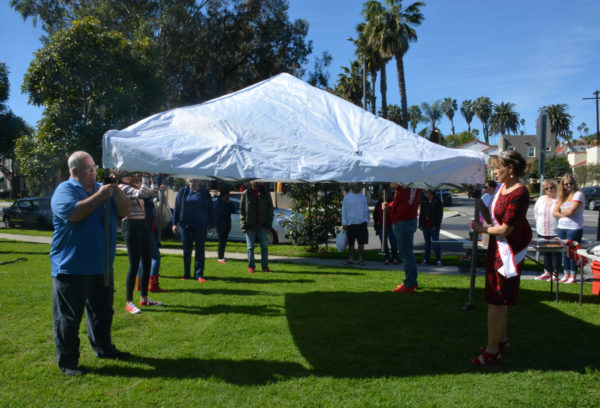 Four people put up a white tent in sunny grassy area of Livingston Park