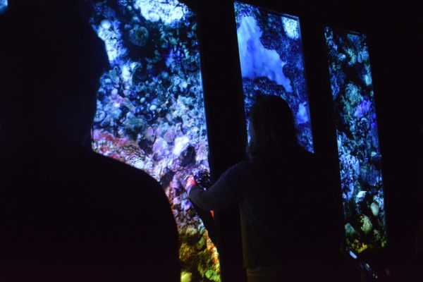 man and woman in profile as they look at panels representing coral reefs in Pacific Visions display
