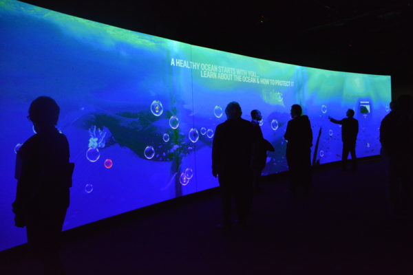 Guests stand next to a 50-foot interactive video wall with the words, "A healthy ocean starts with you"