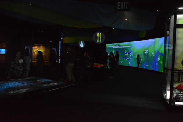 Overall look at culmination room with guests exploring 50-foot interactive wall and games on touch consoles