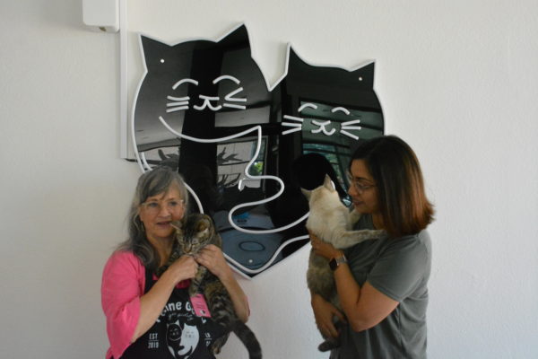 Pam and Tushita cuddle cats in front of the "Feline Good" logo