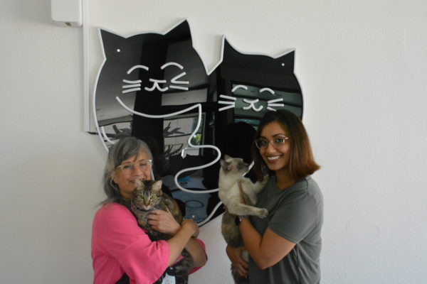 Pam Leslie and Tushita Haritwal each snuggle a cat in front of Felien Good Social Club logo of two cats wrapped around each other