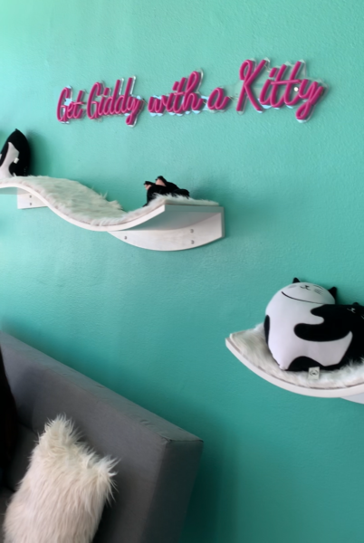 Cats curl up and nap on shelves on the walls next to pink slogan hat reads, "Get Giddy with a Kitty"