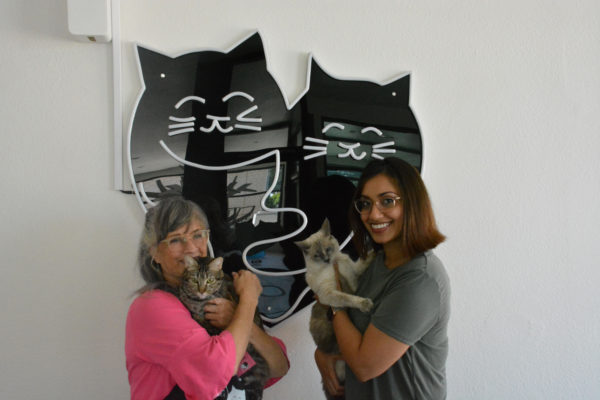 Owner Pamela Leslie and volunteer Tushita Haritwal smile as they hold two of the 25 cats onsite near Feline Good Social Club's logo of two smiling kitties