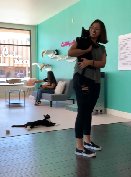 Volunteer Tushita Haritwal hugs a black cat as woman holds a light blond cat on her lap in backgroun and black cat stretches out on the rug behind her