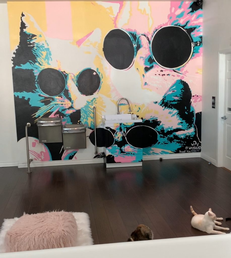 Cats on floor near wall mural of cats in sunglasses
