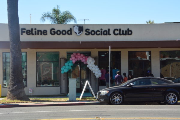 Facade of Feline Good Social Club with balloon arch