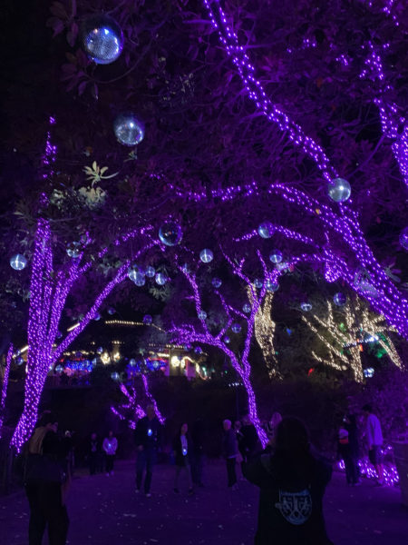 Tree trunks decked out in pink lights with silvery rotating disco balls on their overhead branches