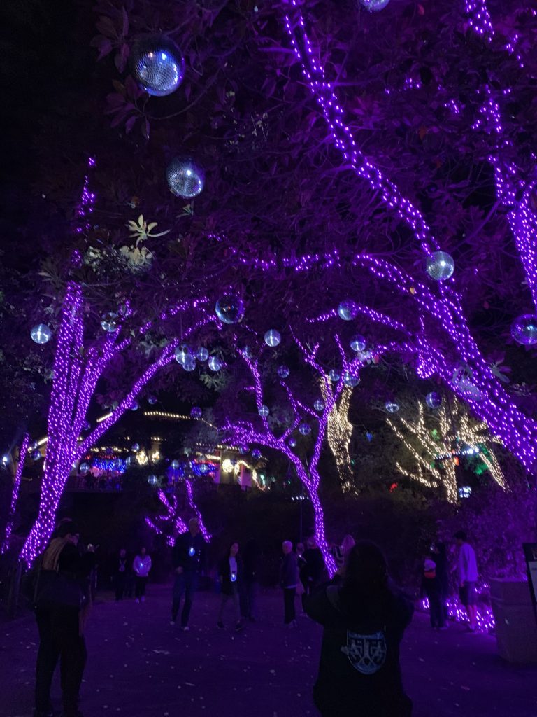 silver disco lights amid a purple-lit forest of trees