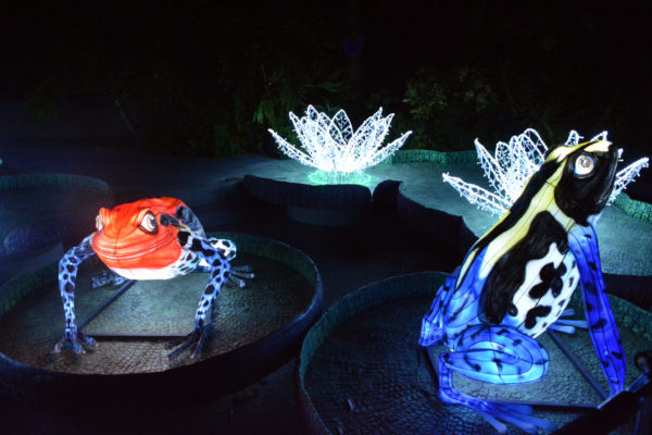Lighted red and blue frogs on lily pads